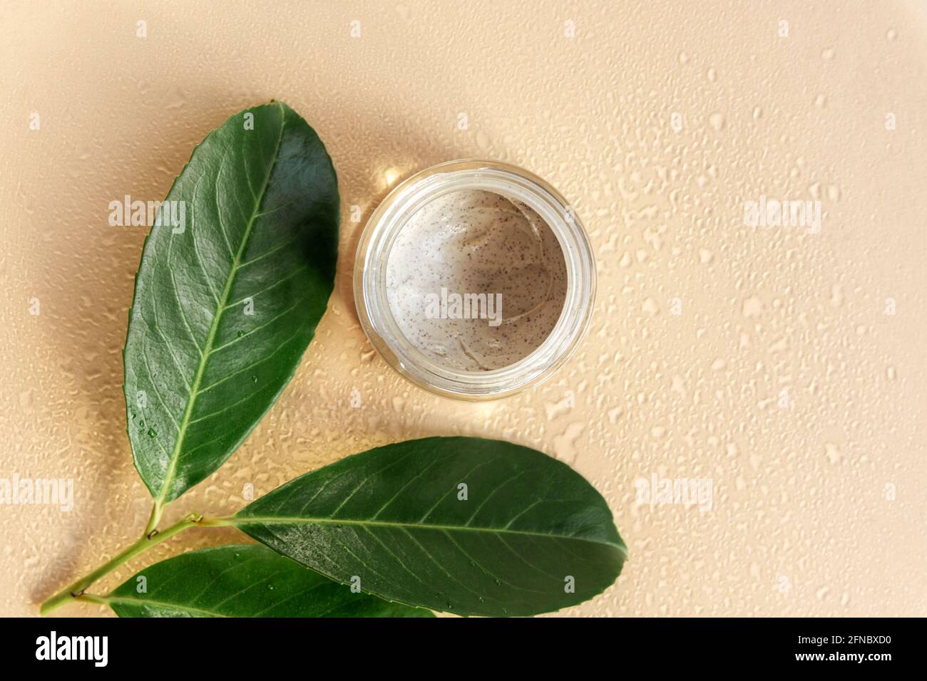 Face cream or mask in a jar and green leaves, neutral background with water drops. Moisturizing anti-age cosmetics concept. Top view, flat lay Stock Photo