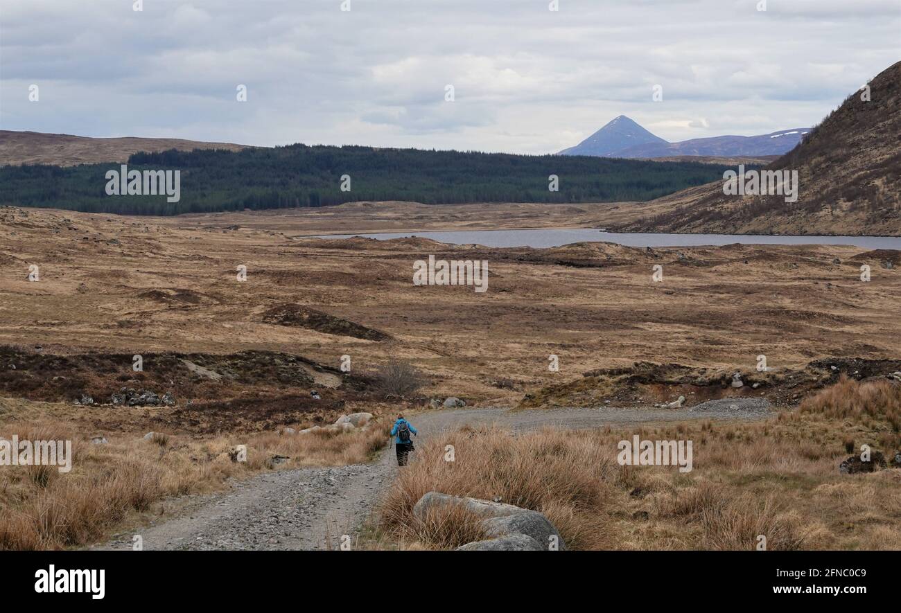 Lone female walker on Road to the Isles Rannoch Moor with Schiehallion in distance Stock Photo