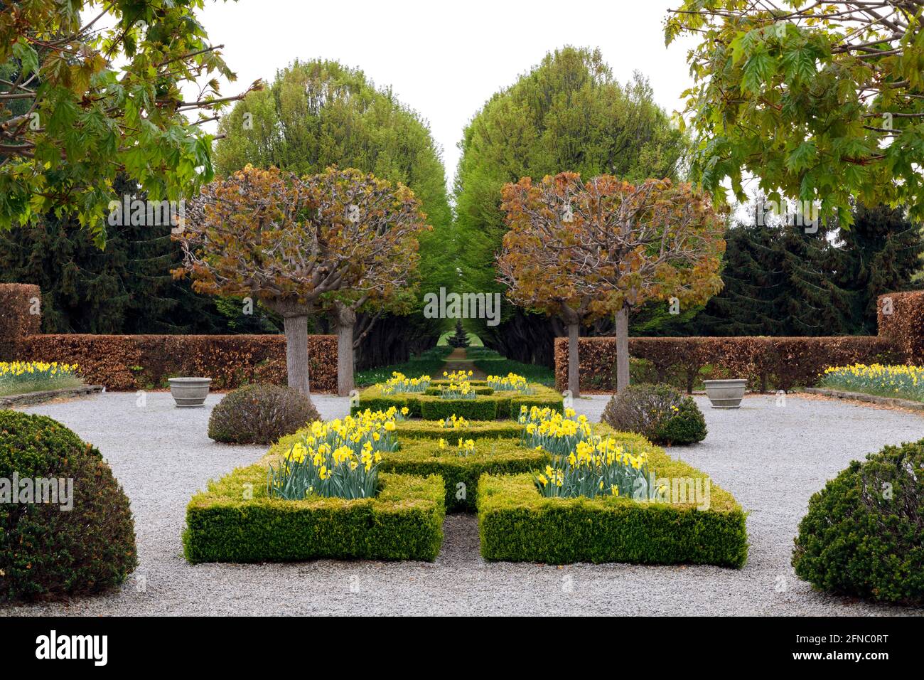 Canada, Ontario, Niagara Falls, School of Horticulture.   Mediterranean Parterre Garden, planted with daffodils in the spring. Stock Photo