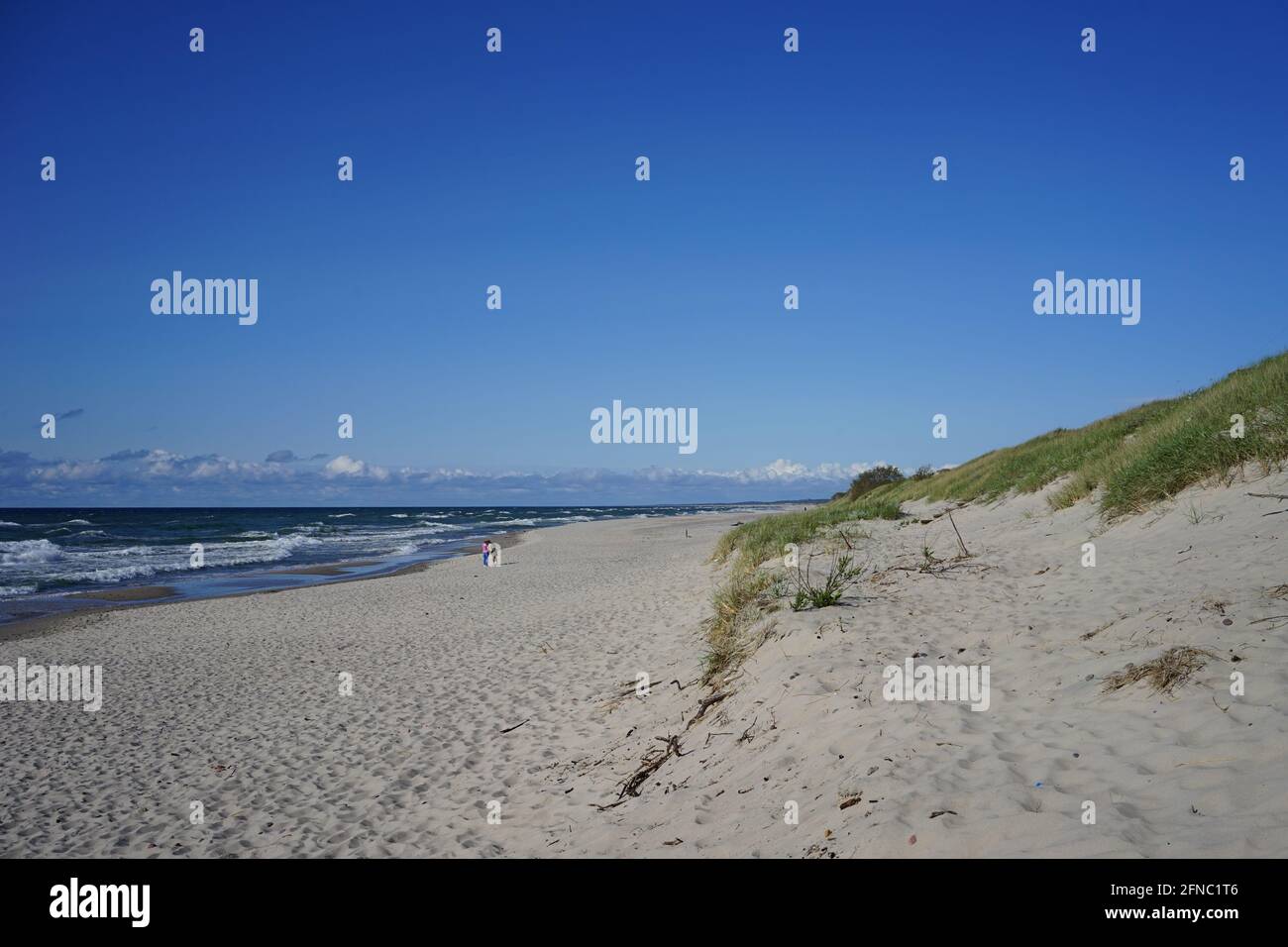 Deserted seascape on the Baltic sea and sand dunes Stock Photo - Alamy