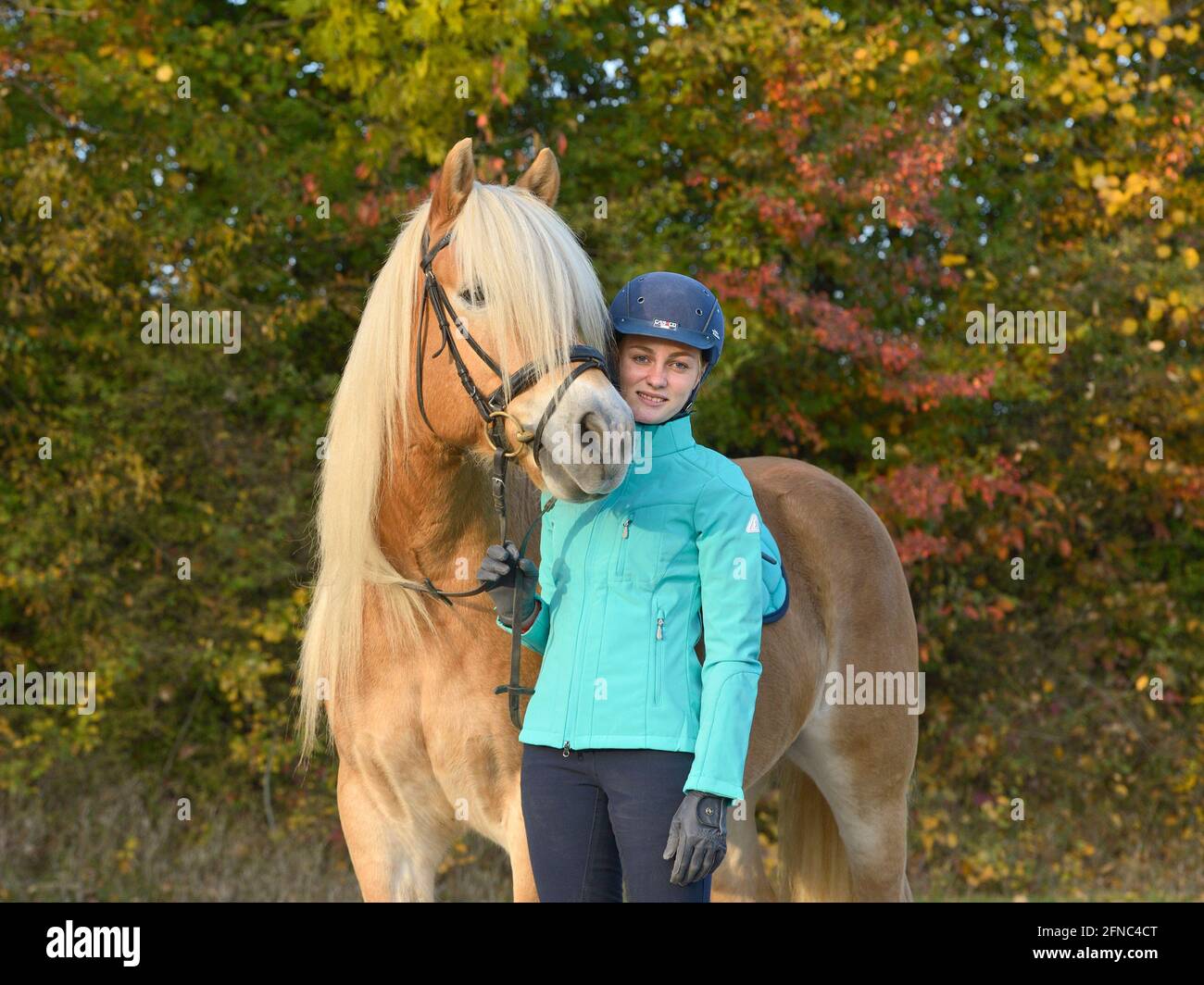 Young rider and Haflinger horse in autumn Stock Photo