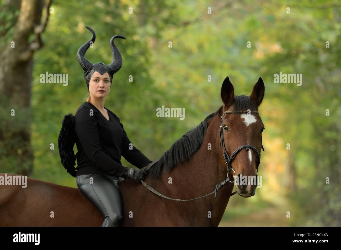 Horse and rider at Halloween Stock Photo