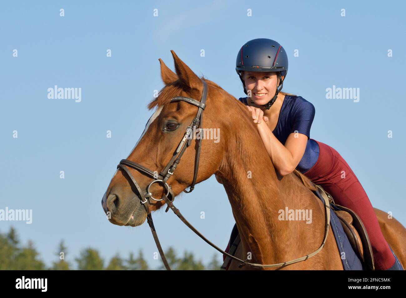 Rider on back of a Bavarian chestnut horse Stock Photo