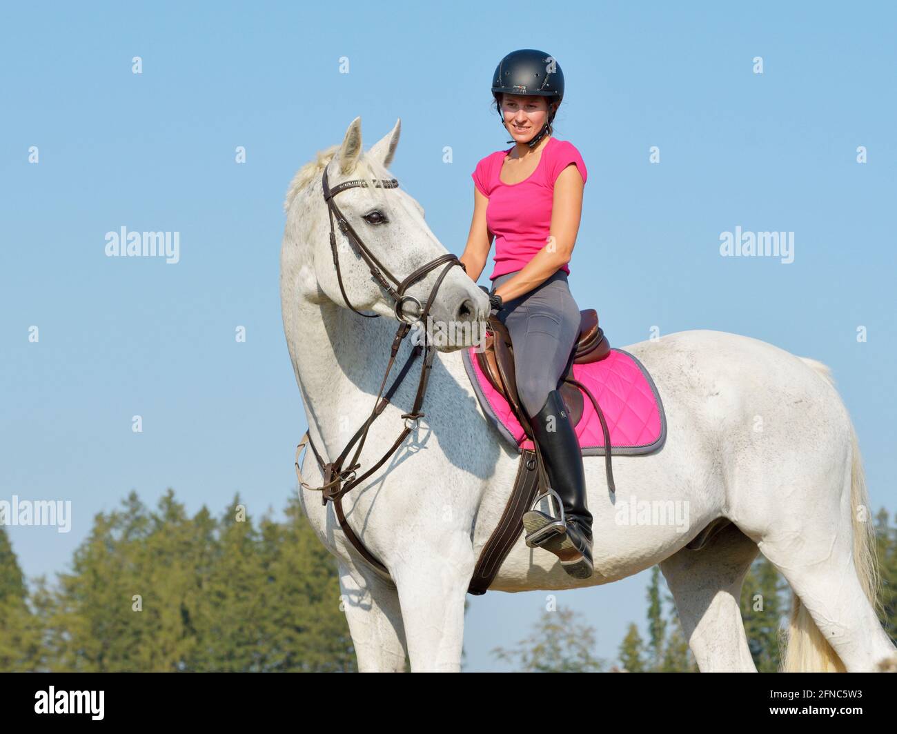 Rider on back of a Bavarian horse Stock Photo