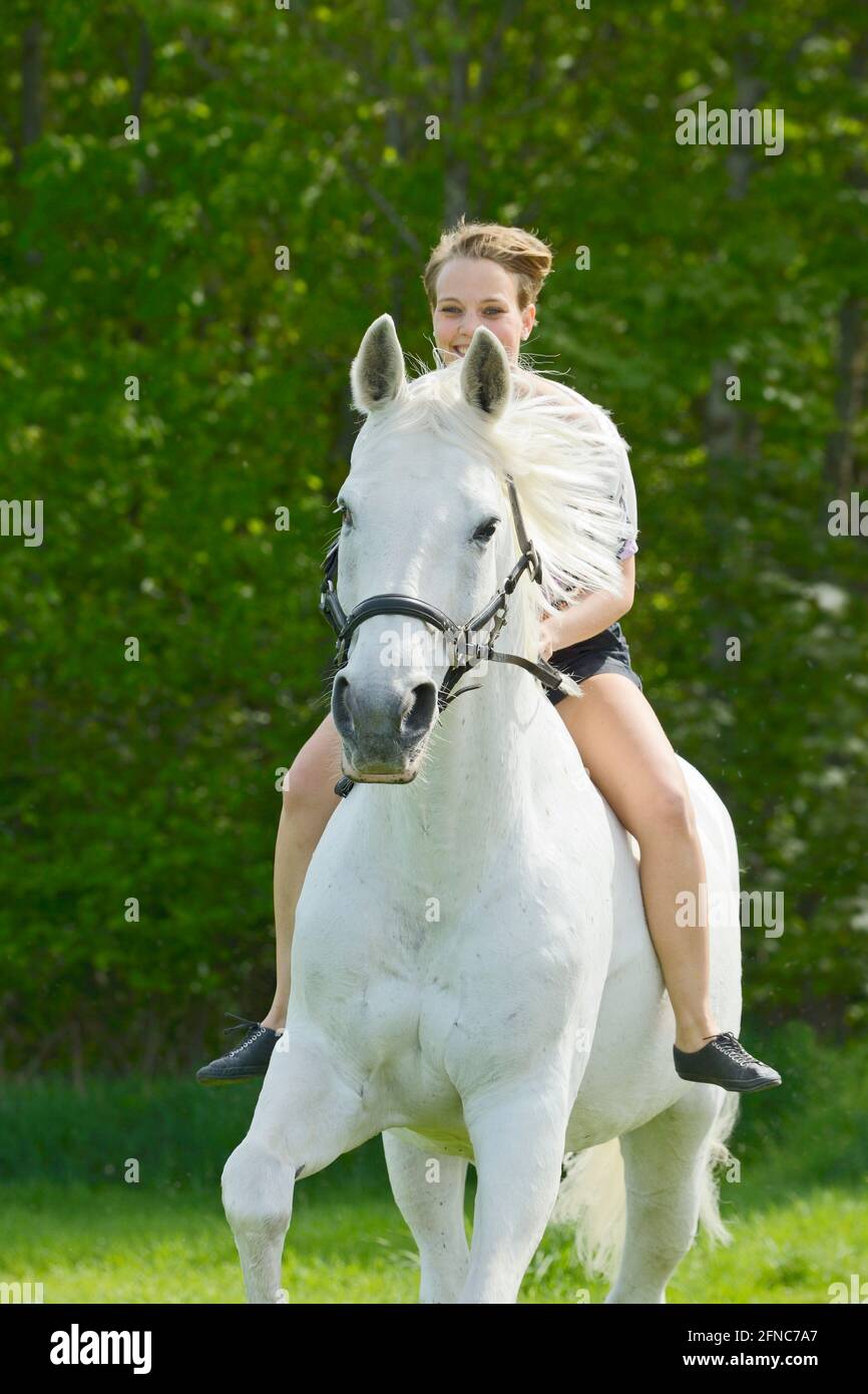 Woman riding bareback and bitless on a Bavarian horse cantering in summer Stock Photo