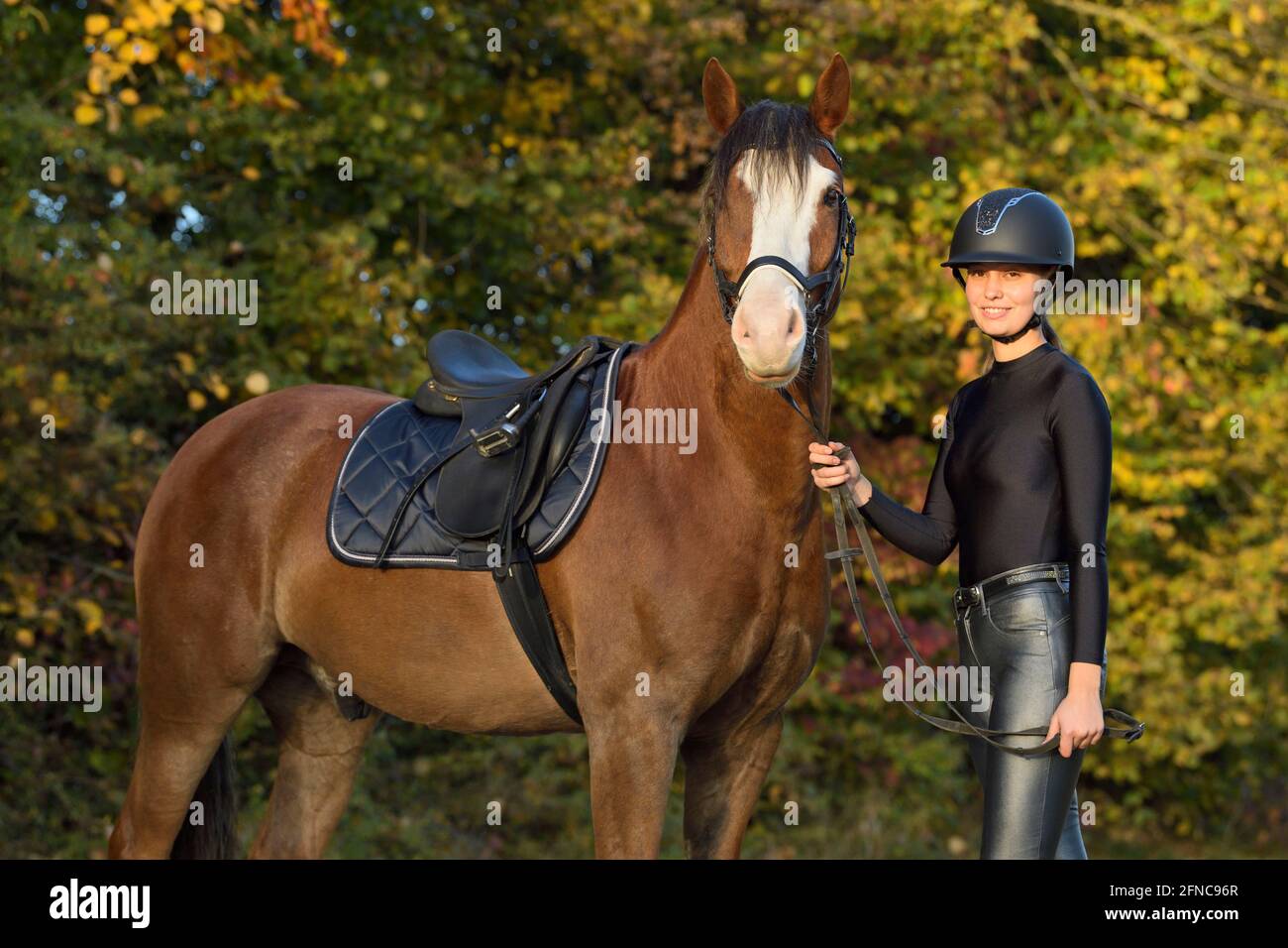 Young rider wearing shiny breeches and a shiny leotard in autumn Stock Photo