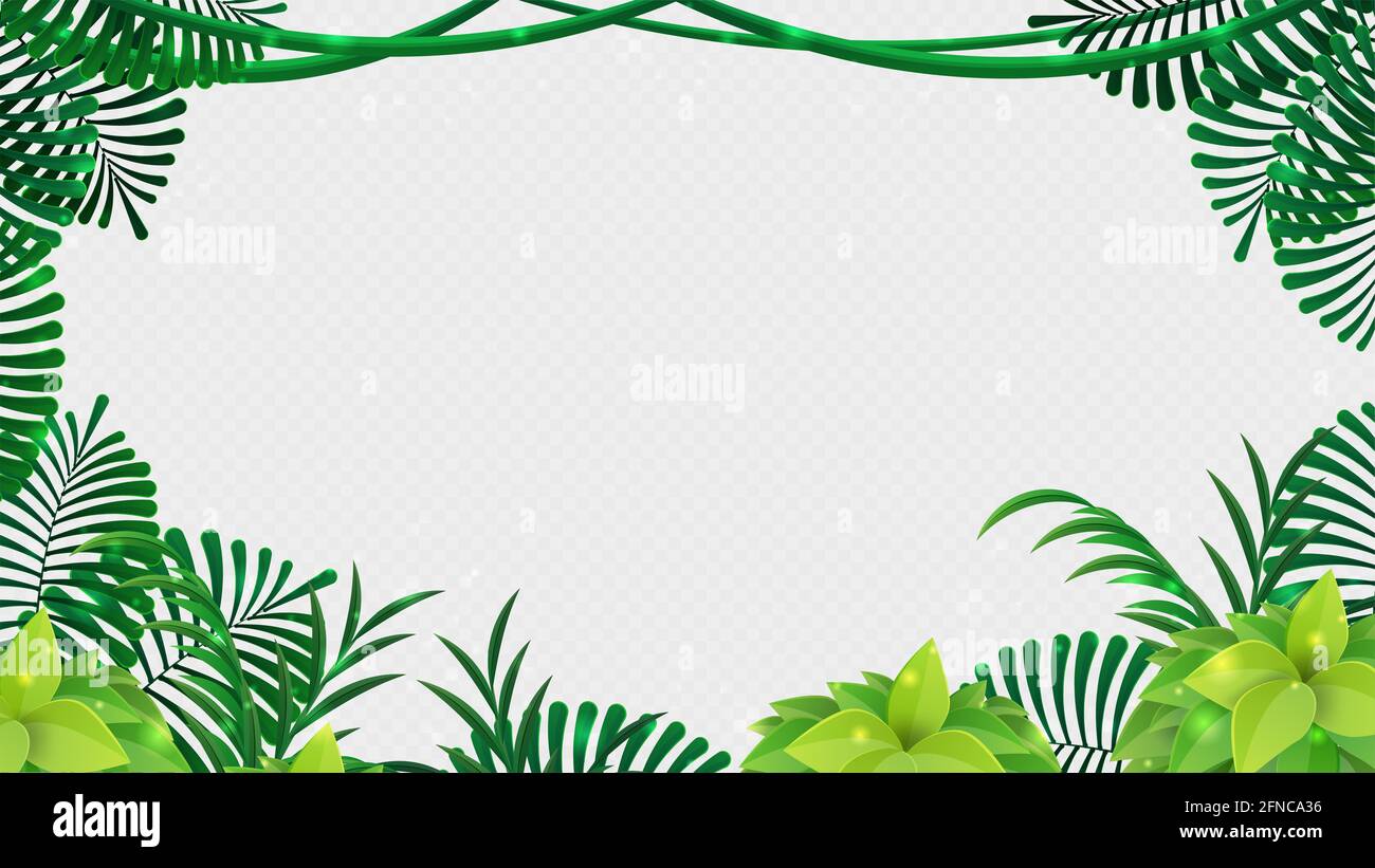 Tropical jungle frame with leaves isolated on white background for your text Stock Photo