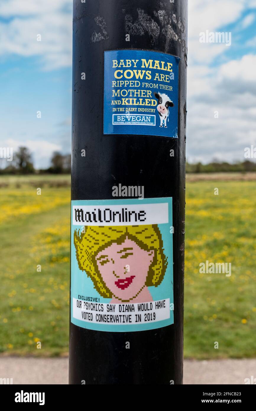 Sticker graffiti on a signpost on Coldhams Common. One advocates veganism and the other claims that Princess Diana would have voted conservative. Stock Photo
