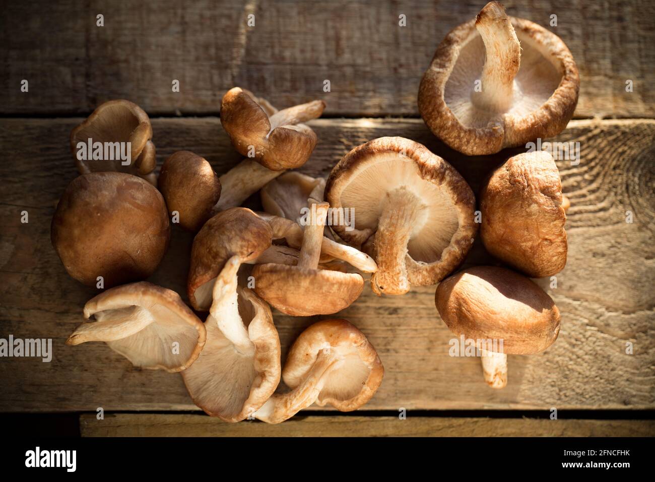 Edible Mushrooms Uk High Resolution Stock Photography and Images Alamy