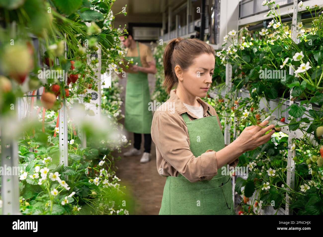 Female in apron working in a garden against young male farmer Stock Photo