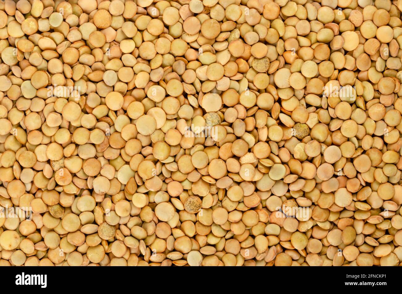 Green lentils, background, from above. Whole raw lens-shaped seeds of Lens culinaris. In cuisines of the Indian subcontinent, lentils are staple. Stock Photo