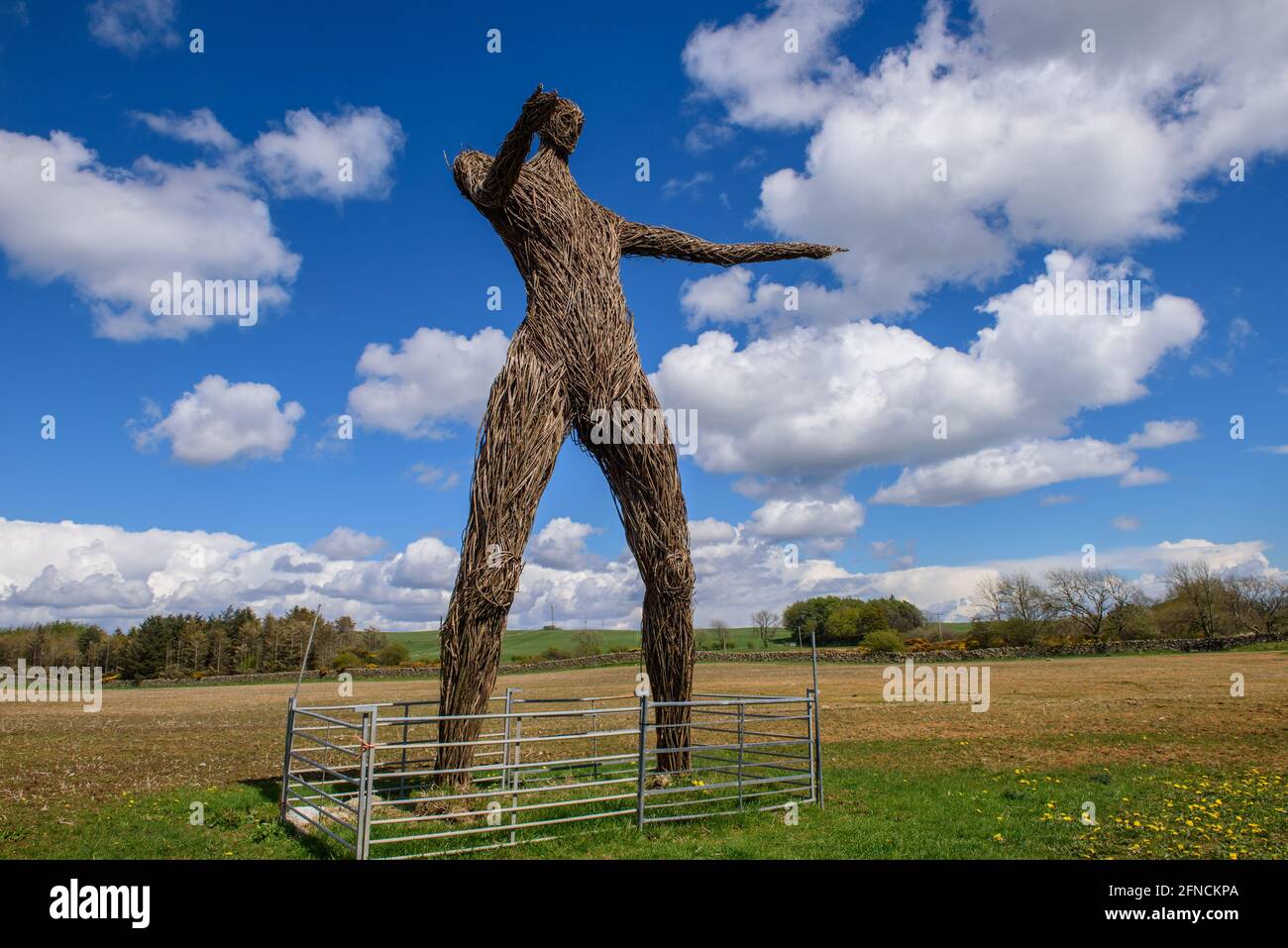 The Wicker man sculpture at East Kirkcarsewell Farm near Kirkcudbright. Scotland Stock Photo