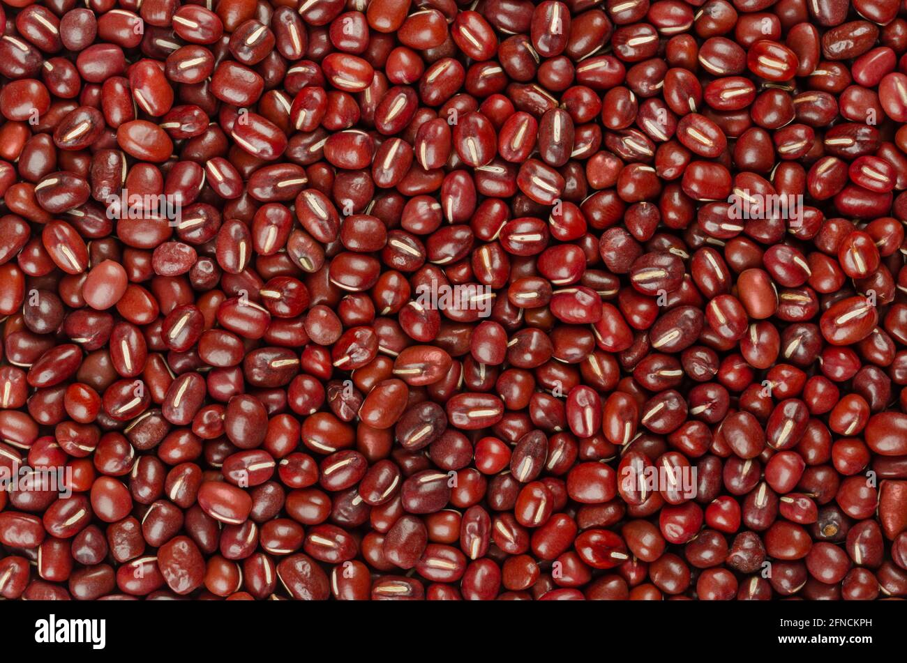 Adzuki beans, background, from above. Also called azuki bean, aduki, red or red mung bean. Whole raw fruits of Vigna angularis. Stock Photo