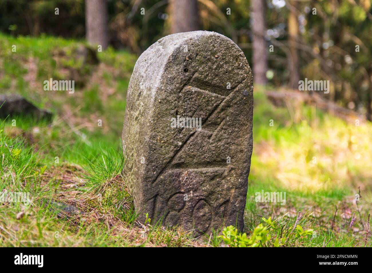 Letter Z engraved on boundary stone in Zittau Mountains Stock Photo