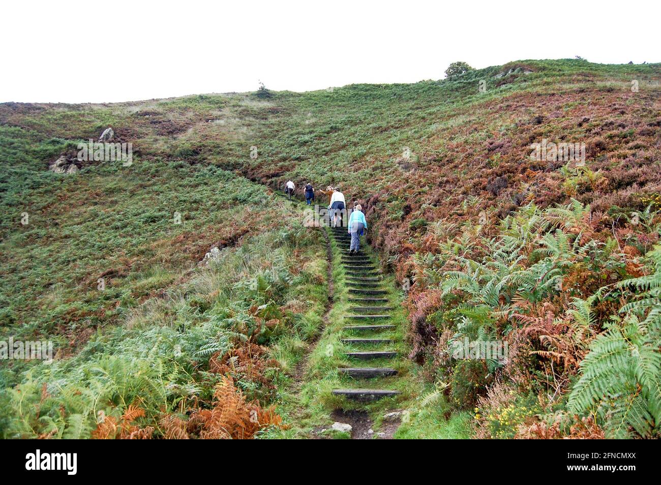 Jersey channel island autumn hi-res stock photography and images - Alamy