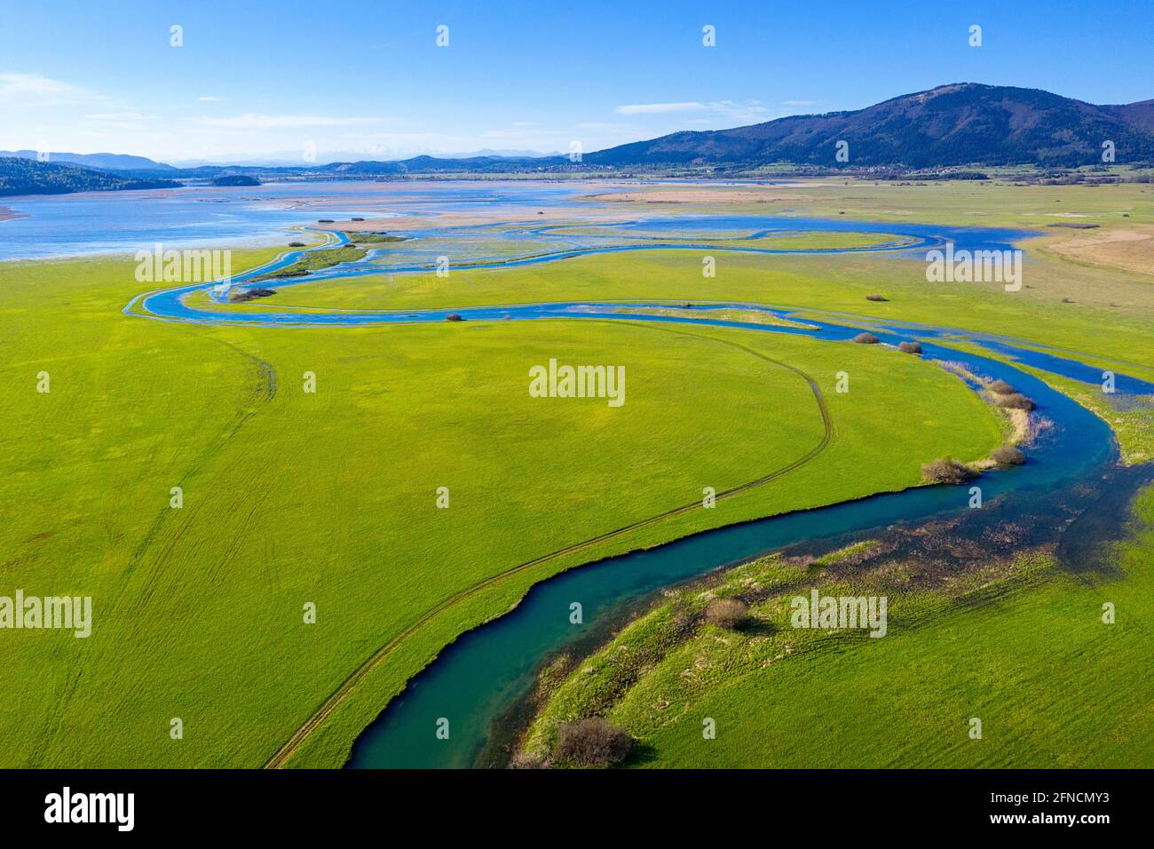 Top aerial view of tributary that flows into Cerknica Lake, taken by drone, Slovenia Stock Photo