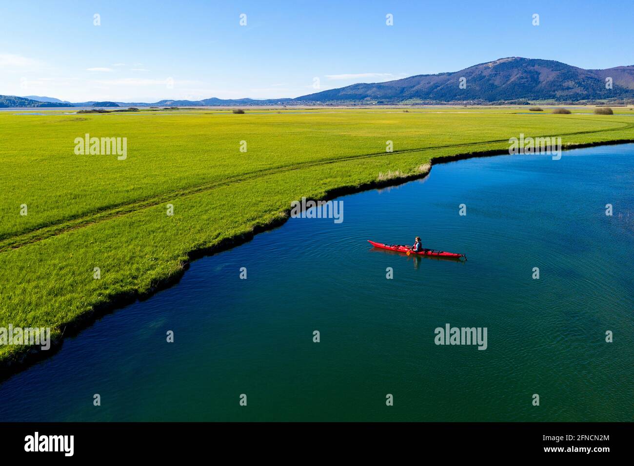 Top aerial view of tributary that flows into Cerknica Lake and a woman in red kayak kayaking on it, taken by drone, Slovenia Stock Photo