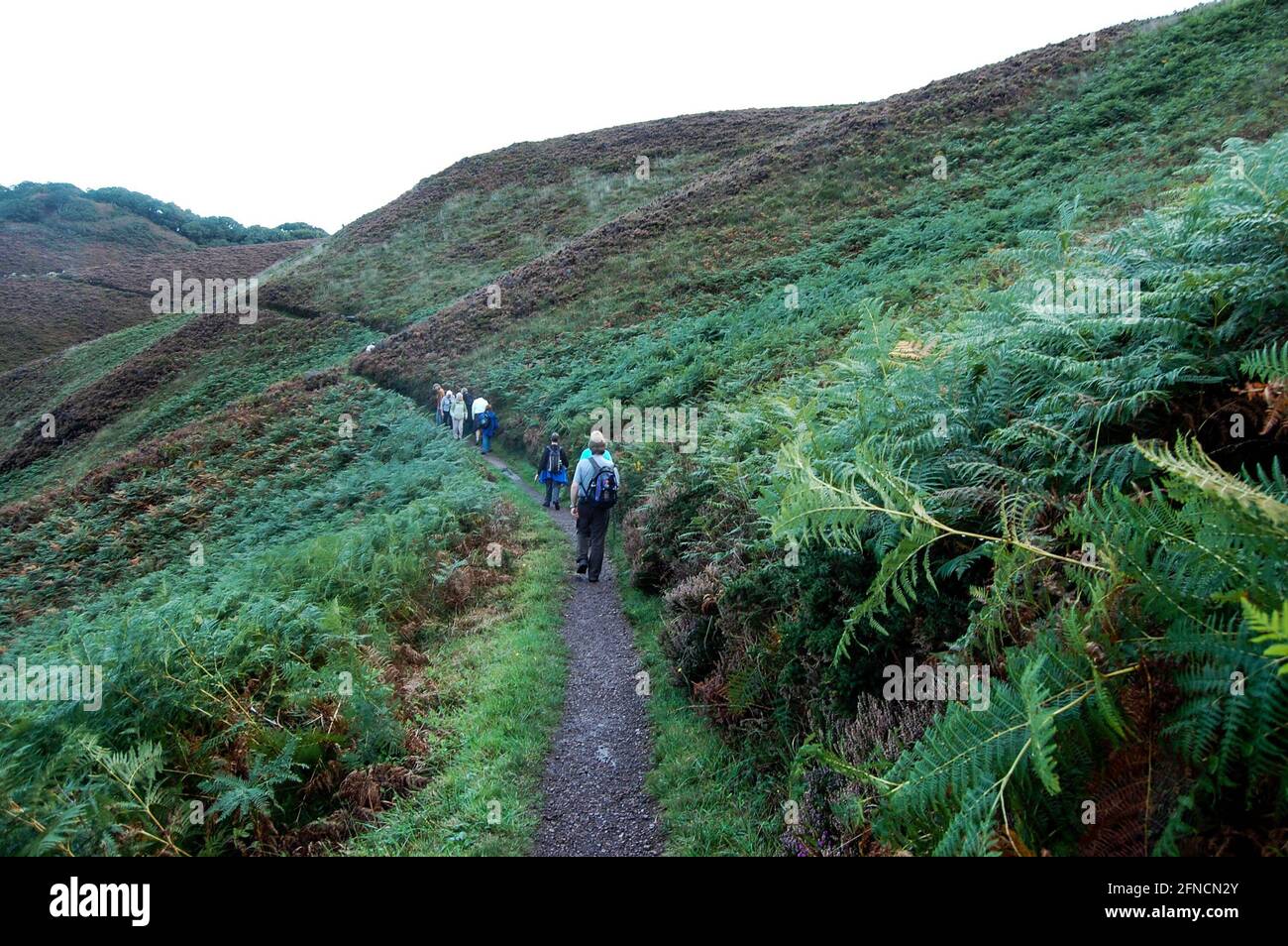 Jersey channel island autumn hi-res stock photography and images - Alamy