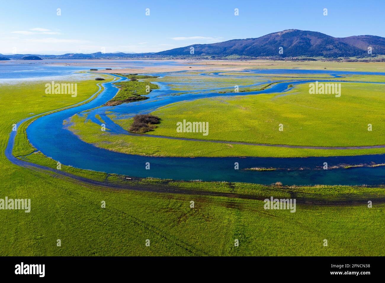 Top aerial view of tributary that flows into Cerknica Lake, taken by drone, Slovenia Stock Photo
