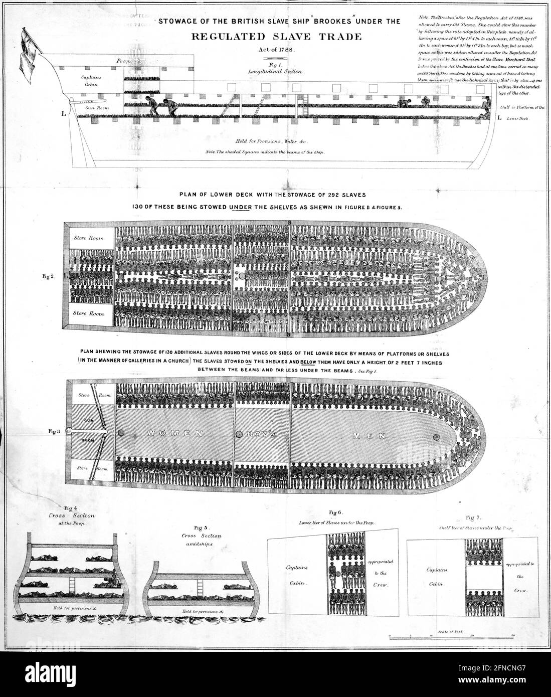 Brooks slave ship. Plan of the configuration of a slave trading ship. Stock Photo