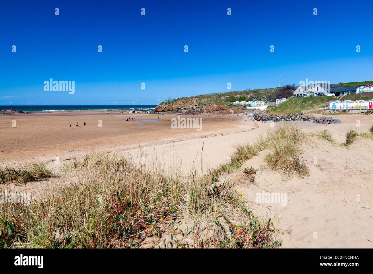 Golden sand Summerleaze Beach Bude Cornwall England UK Stock Photo