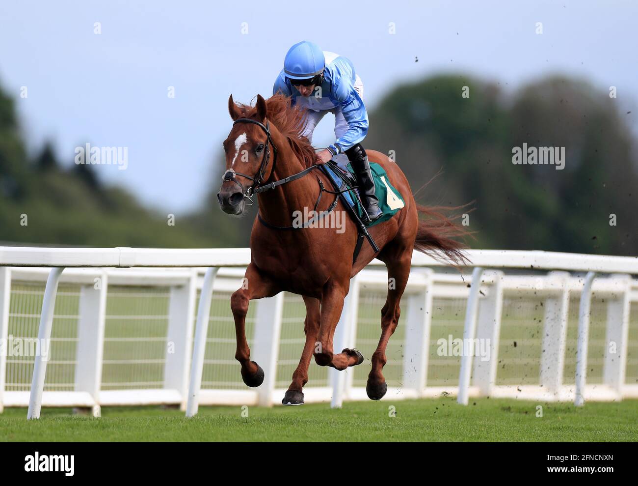 First Light ridden by P J McDonald wins The Titanium Racing Club Maiden Stakes at Ripon Racecourse. Picture date: Sunday May 16, 2021. Stock Photo
