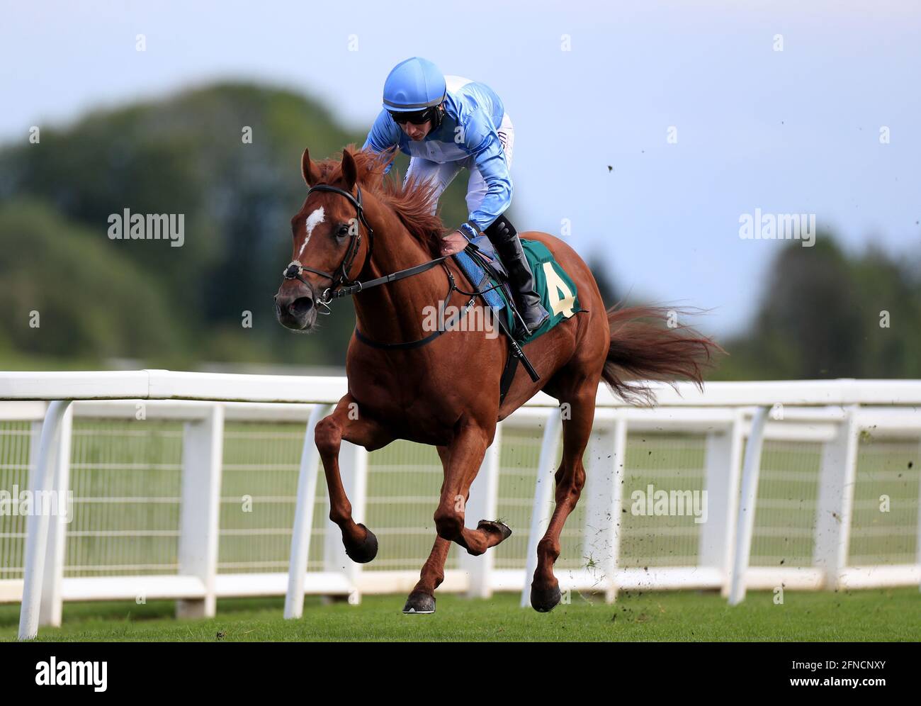 First Light ridden by P J McDonald wins The Titanium Racing Club Maiden Stakes at Ripon Racecourse. Picture date: Sunday May 16, 2021. Stock Photo