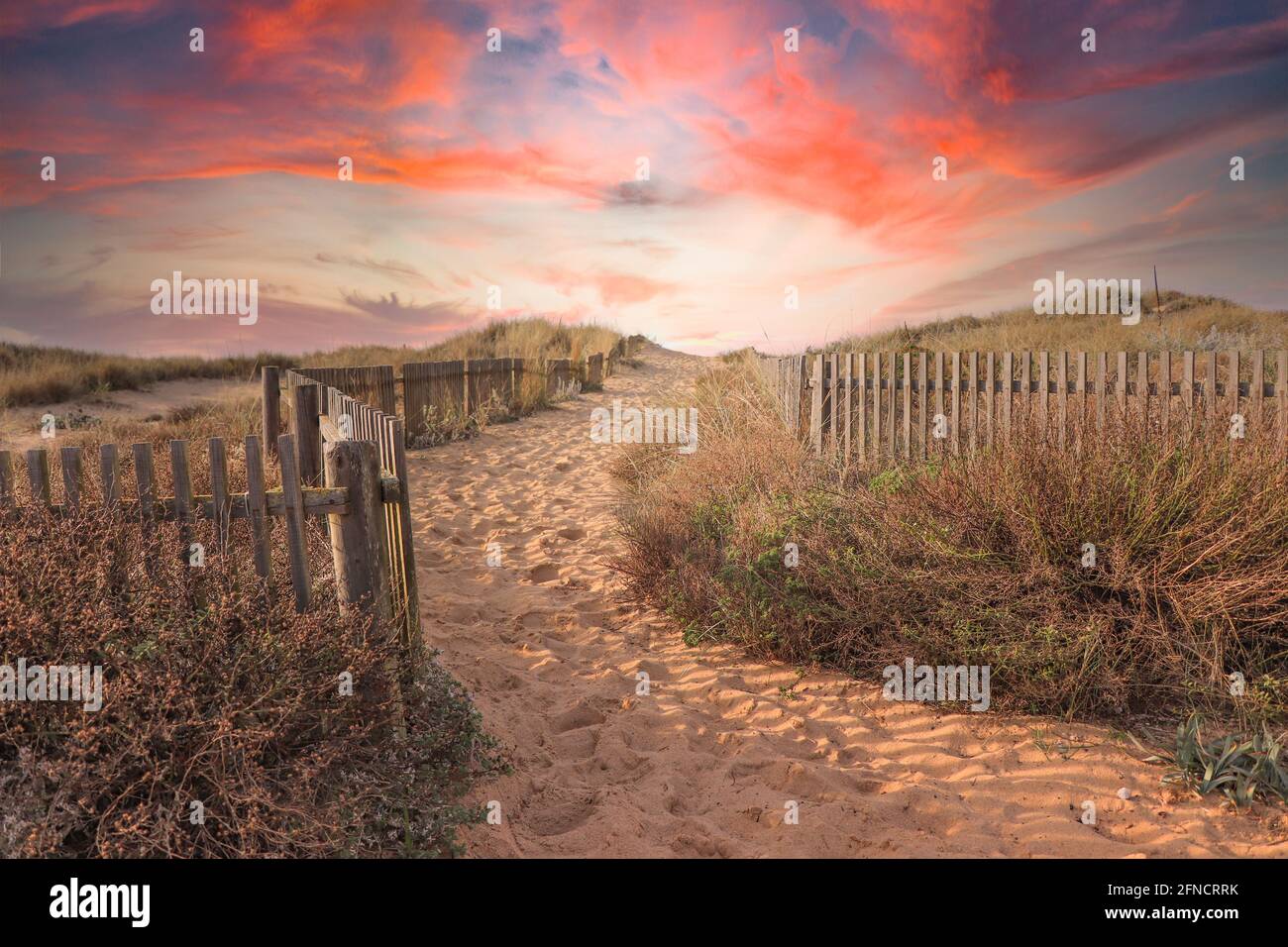 Path to the beach through the dunes surrounded by a wood fence at the sunset Stock Photo