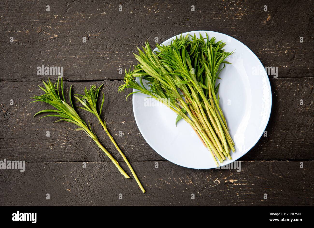 Flat lay of green willowherb or known as fireweed Chamaenerion angustifolium young fresh shroots in spring in home kitchen preparations for making foo Stock Photo