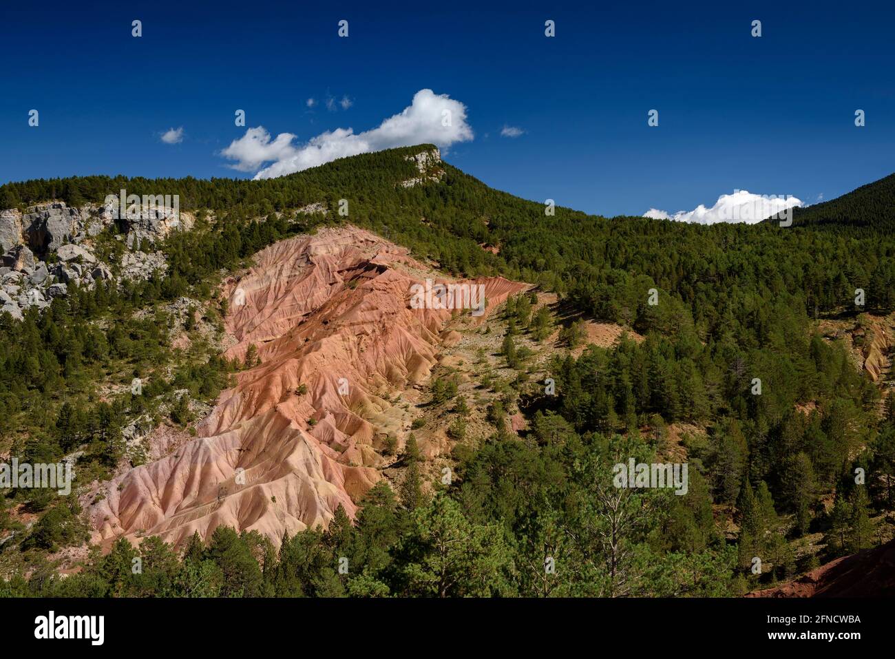 Erosion badlands in the Serra de Mata-rodona, seen from the Palomera viewpoint (Berguedà, Catalonia, Spain, Pyrenees) Stock Photo