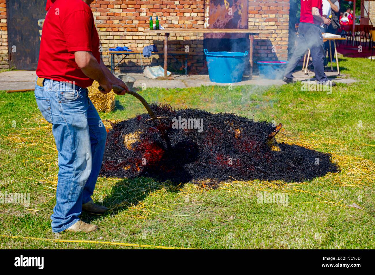 Butchers are burning pile of straw for removing hair from the pig's ...