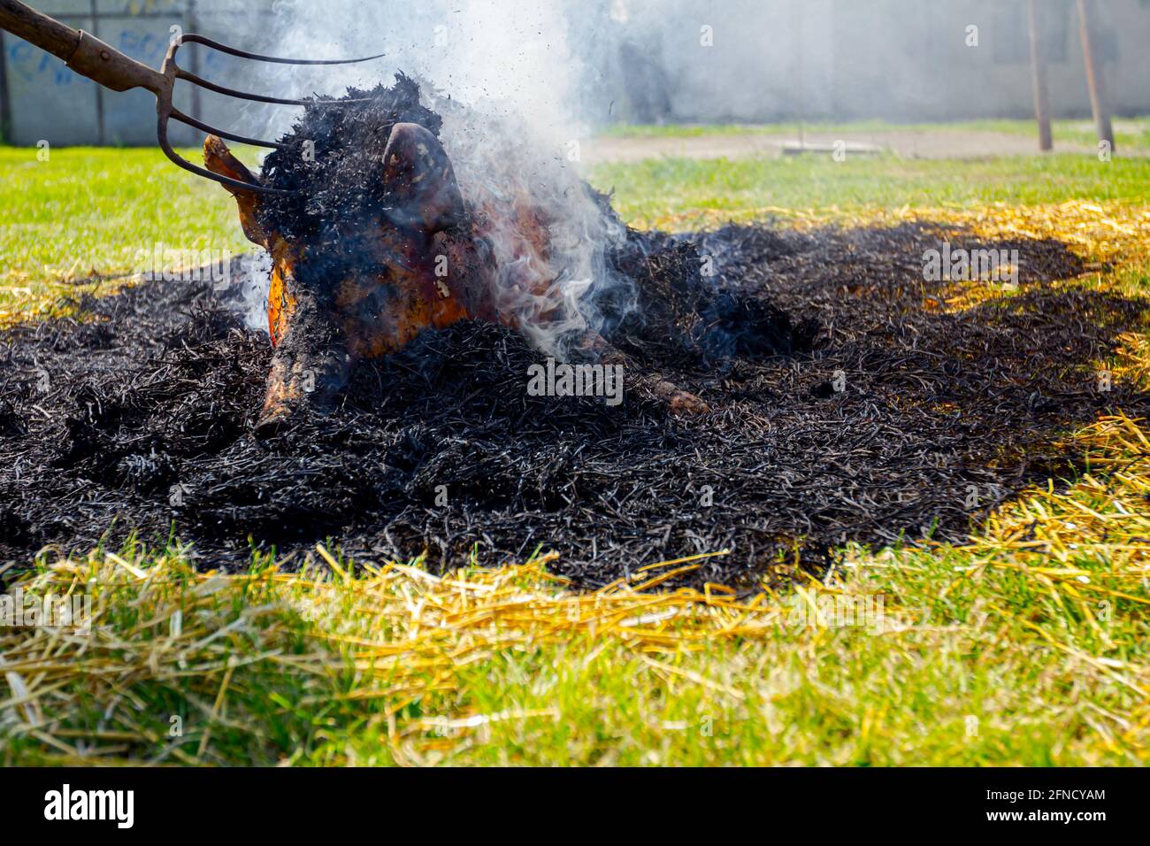Butchers are burning pile of straw for removing hair from the pig's