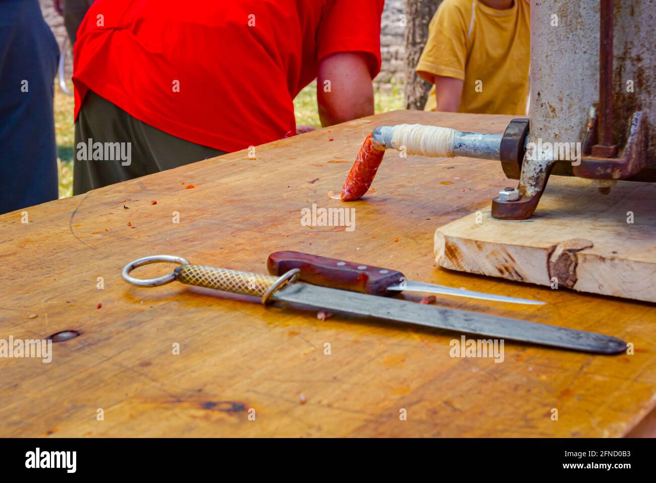 Fill up pig intestines to make sausage with machine for handmade