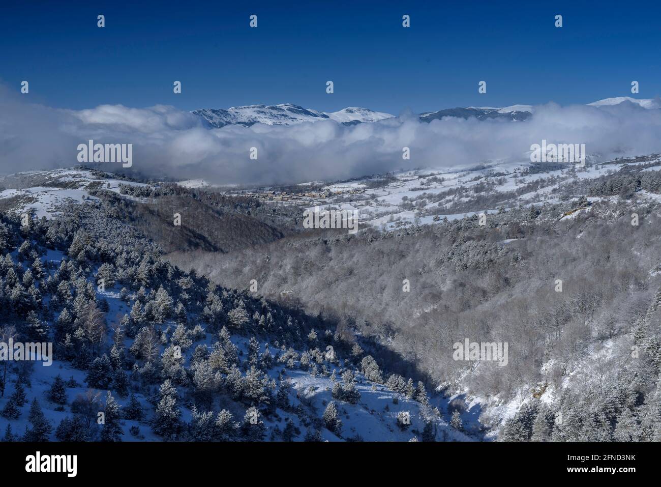 Views from Coll d'Ares towards the snowy valley of Camprodon and Molló  (Ripollès, Catalonia, Spain, Pyrenees) ESP: Vistas desde el Coll d'Ares,  España Stock Photo - Alamy