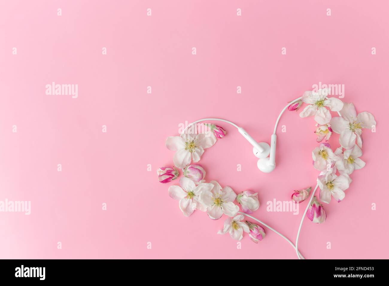 Flat lay on pink background with apple blossom heart shape and earphones Stock Photo
