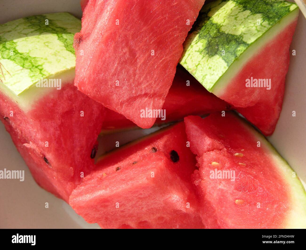 Watermelon Stock Photo