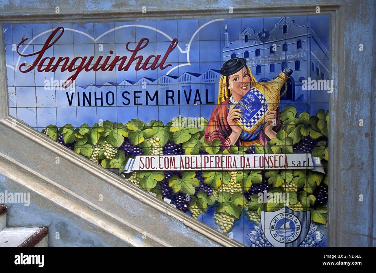 Sanguinhal vinho Sem Rival tile advertisement in Mercado do Bolhão, Porto,  Portugal Stock Photo - Alamy