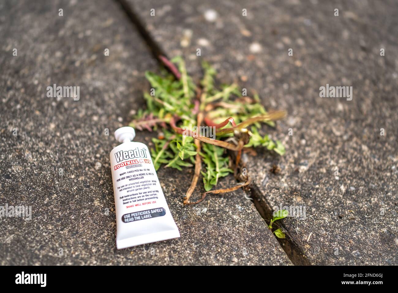Selective and intentional focus on a tube of Weedol branded weed killer