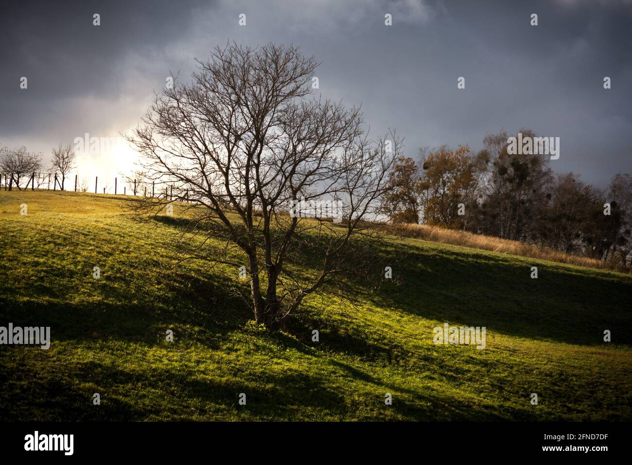 tilfredshed Hykler Æsel Early morning hillside with tangential lighting and artistic shadows Stock  Photo - Alamy