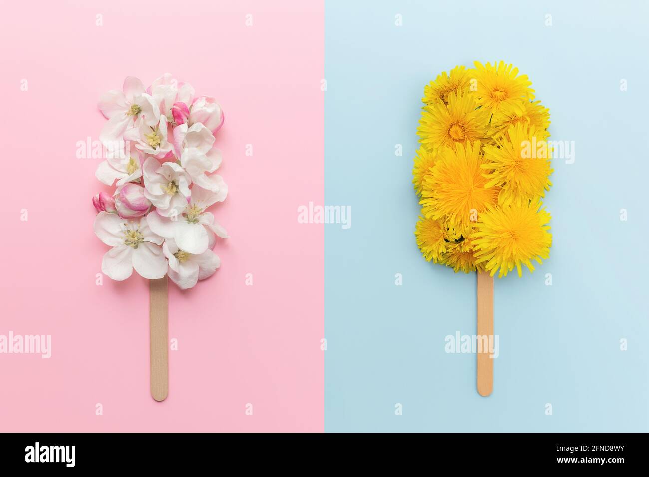 Collage on pink and blue background with blossom ice cream lolly on stick Stock Photo