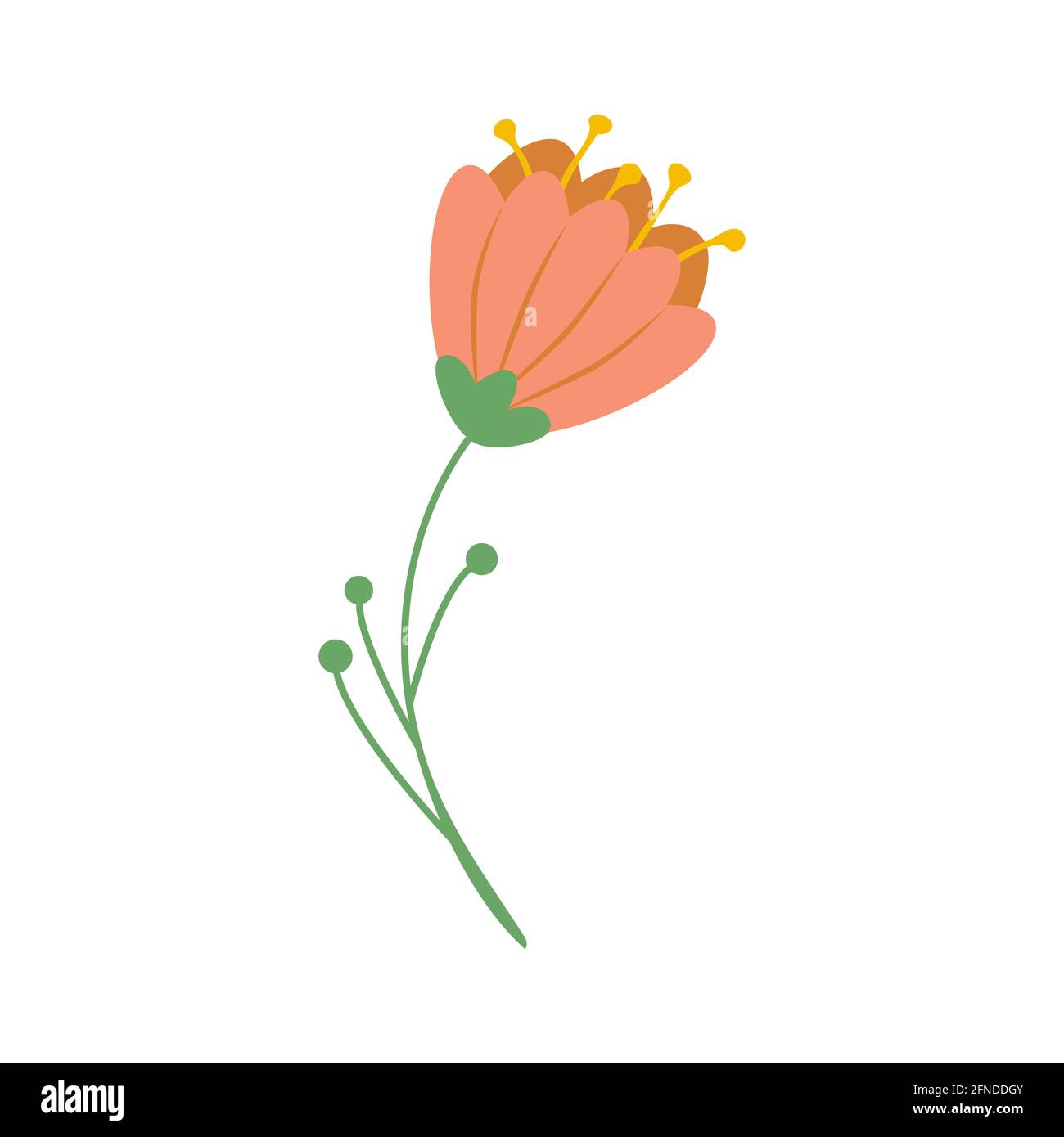 chimiste-clipart-flowers