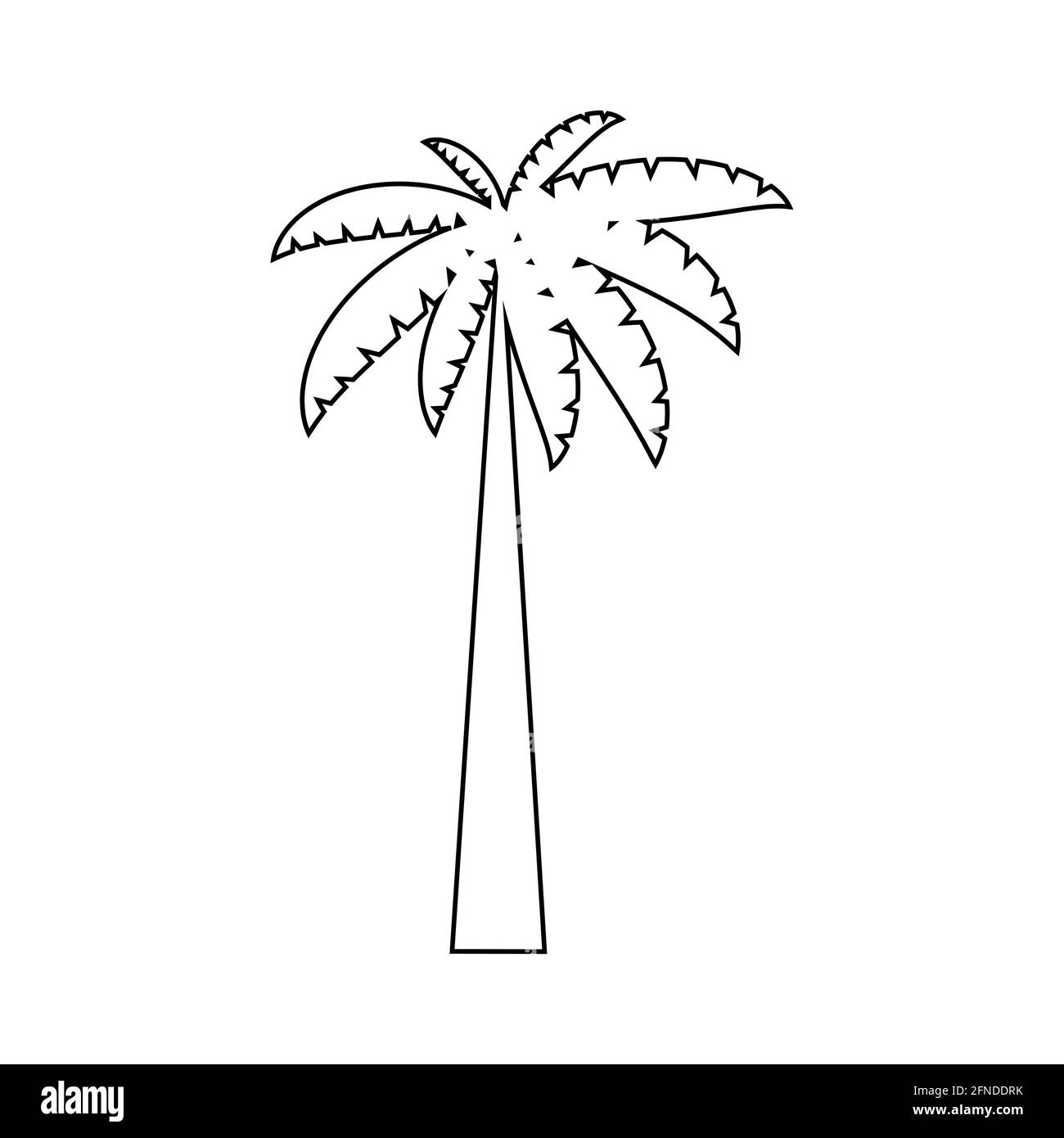 Tropical palm trees, black silhouettes and outline contours on white ...
