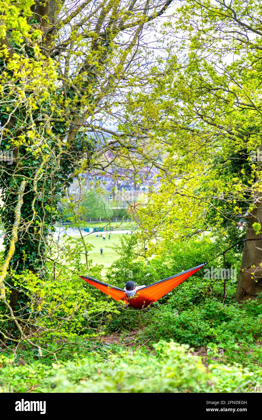 Man resting in a hammock, reading a paper in Hampstead Heath, London, UK Stock Photo