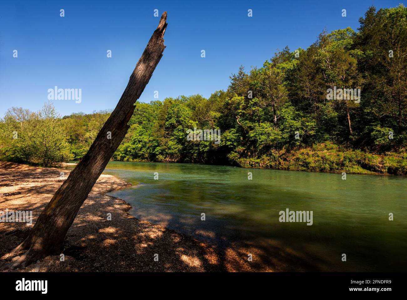 The Current River runs through a wilderness area in the Ozarks north of