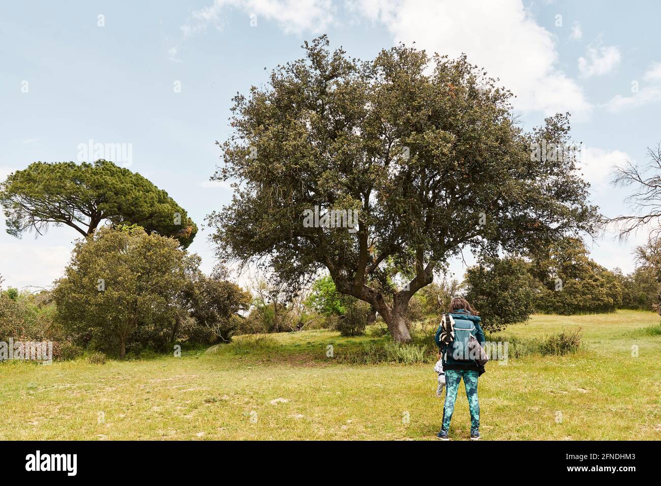 Woman walking arms raised hi-res stock photography and images - Alamy