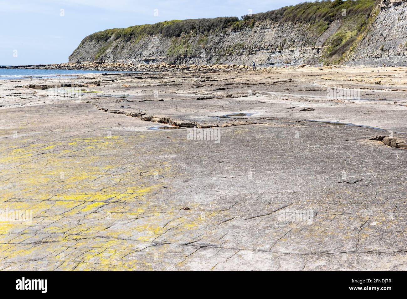 Low tide, Kimmeridge Ledge, dolomite ledge, Kimmeridge Bay, Isle of Purbeck, Jurassic Coast, Dorset, UK Stock Photo