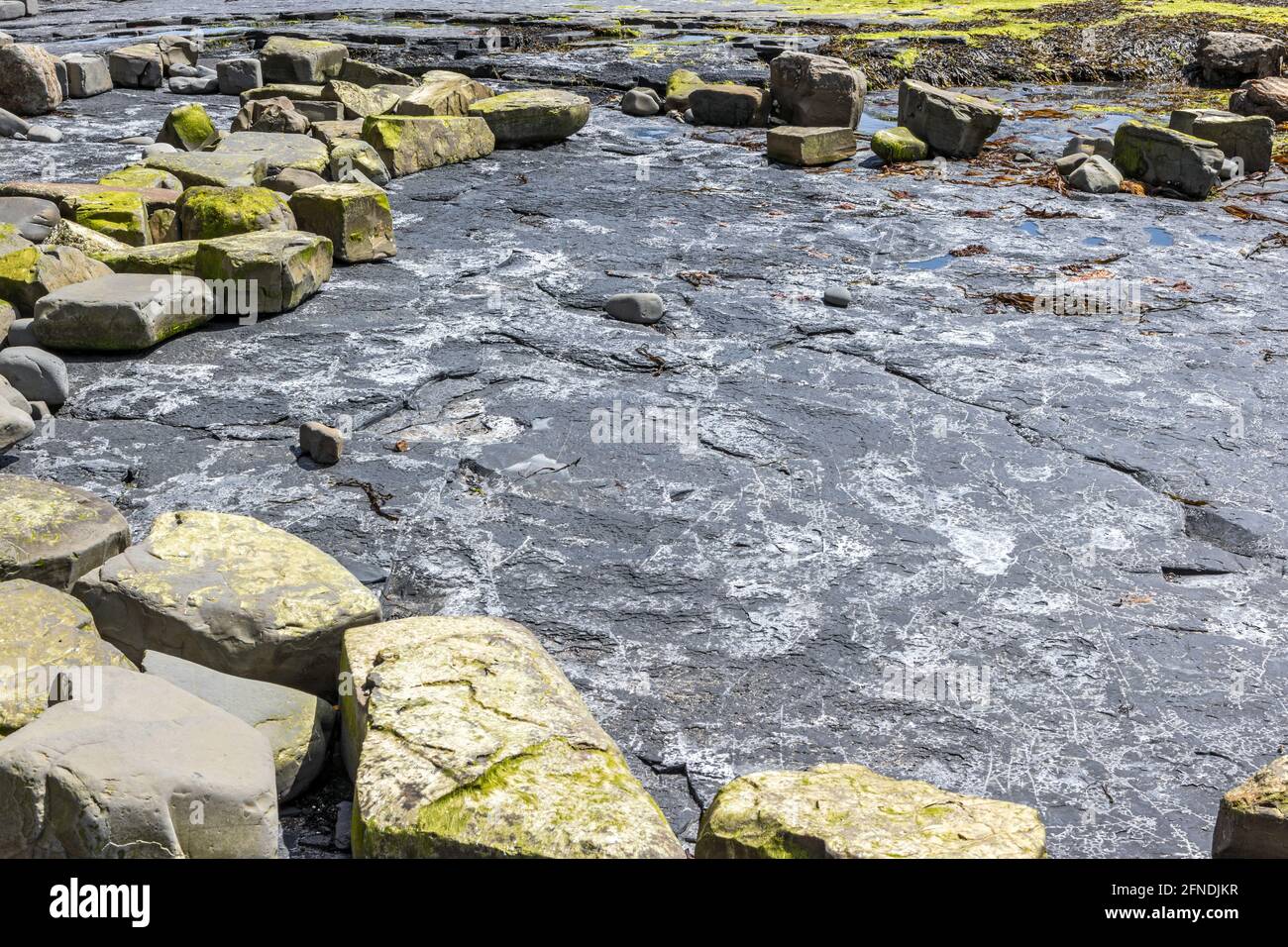 Low tide, Kimmeridge Ledge, dolomite ledge, Kimmeridge Bay, Isle of Purbeck, Jurassic Coast, Dorset, UK Stock Photo