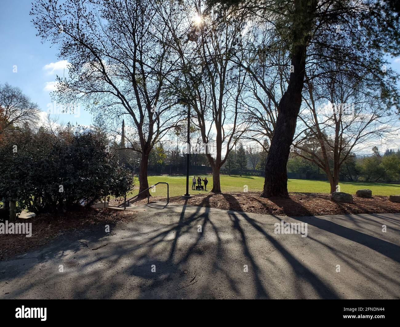 Long shot of three women and their dogs on a sunny day in Rogers-Smith Park in Pleasant Hill, California, January 23, 2021. () Stock Photo