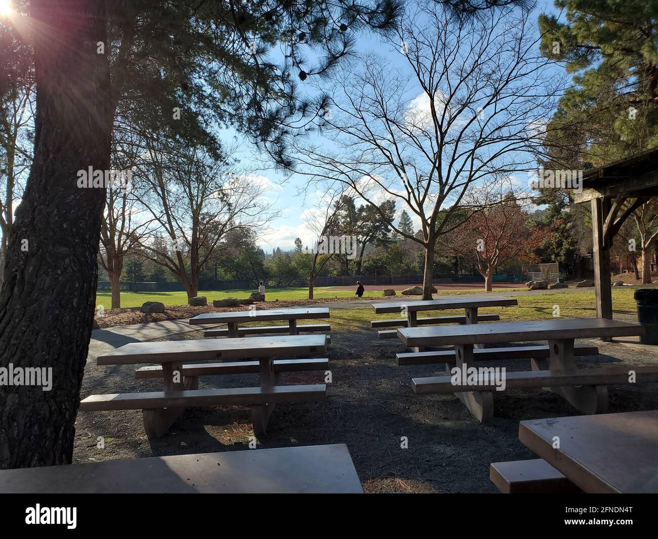 Photograph of the barbecue area with picnic tables and benches at Rogers-Smith Park in Pleasant Hill, California, January 23, 2021. () Stock Photo