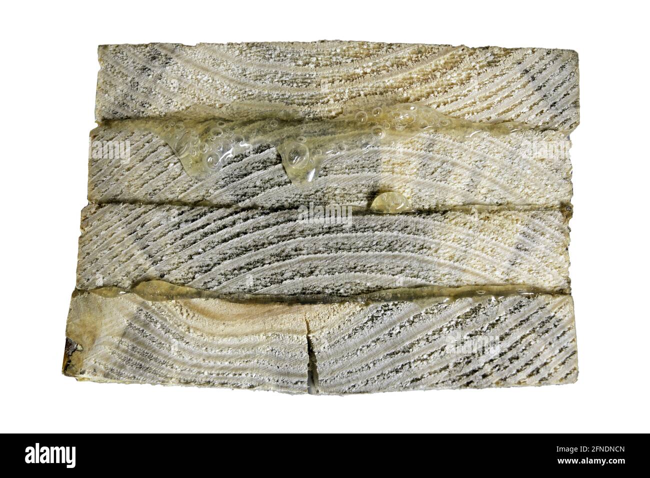 Mdf glue Cut Out Stock Images & Pictures Alamy